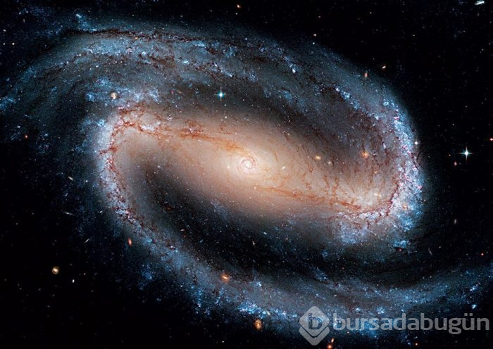 Hubble'dan nefes kesen kare