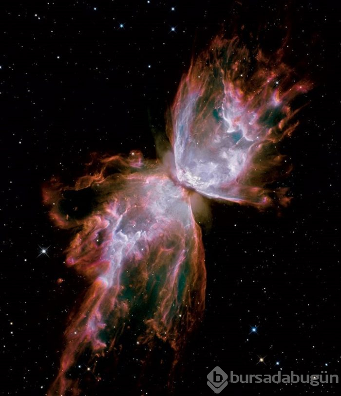 Hubble'dan nefes kesen kare