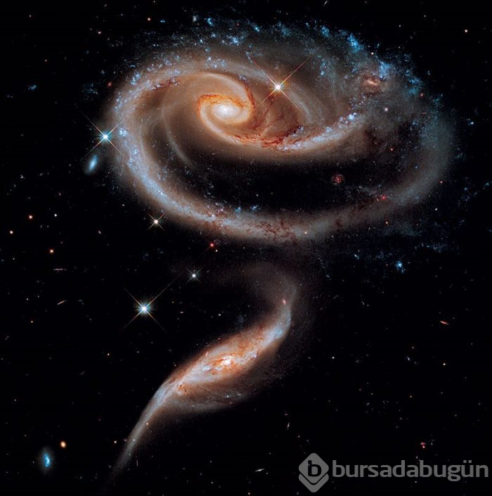 Hubble'dan nefes kesen kare