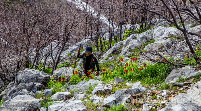 "Ağlayan gelin" fotoğraf tutkunlarının gözdesi
