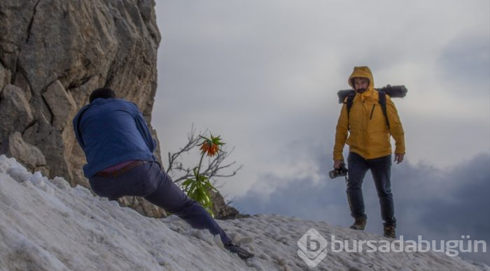 "Ağlayan gelin" fotoğraf tutkunlarının gözdesi
