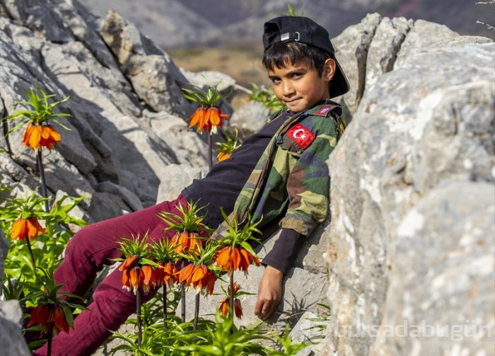"Ağlayan gelin" fotoğraf tutkunlarının gözdesi
