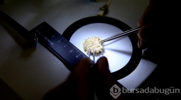 Bilim dünyasına 44. türünü kazandırdı
