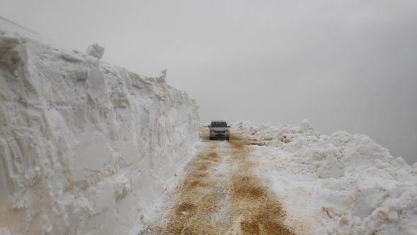 Karadeniz yaylaları yaza hazırlanıyor 