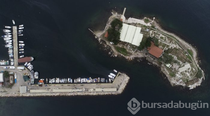  Türkiye'nin ilk Arkeopark Ada Müzesi: Zeytinliada 