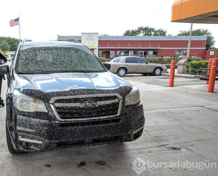 Günün en çok paylaşılan fotoğrafları (08.05.2019) 