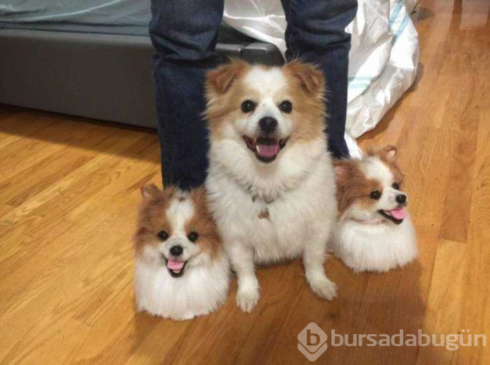 Günün en çok paylaşılan fotoğrafları (08.05.2019) 