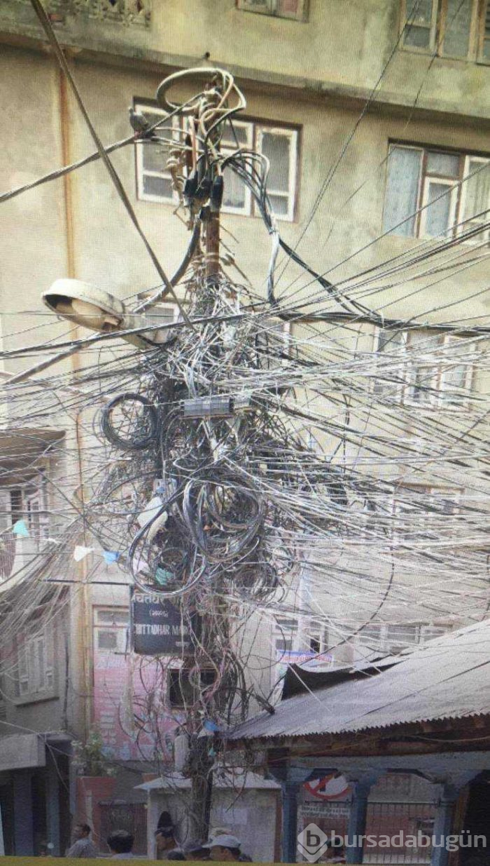 Günün en çok paylaşılan fotoğrafları (08.05.2019) 