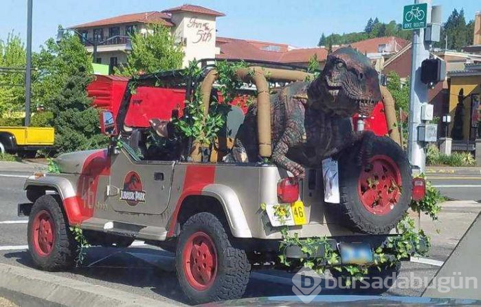 Günün en çok paylaşılan fotoğrafları (08.05.2019) 