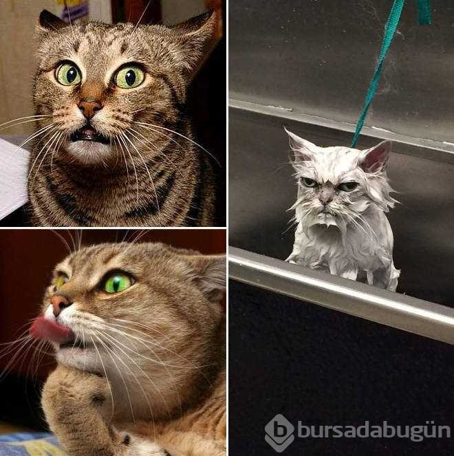Günün en çok paylaşılan fotoğrafları (08.05.2019) 