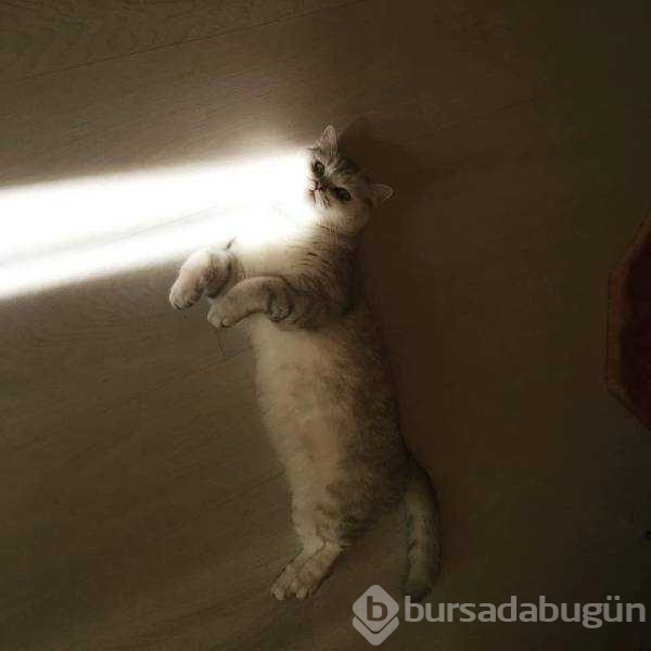 Günün en çok paylaşılan fotoğrafları (08.05.2019) 