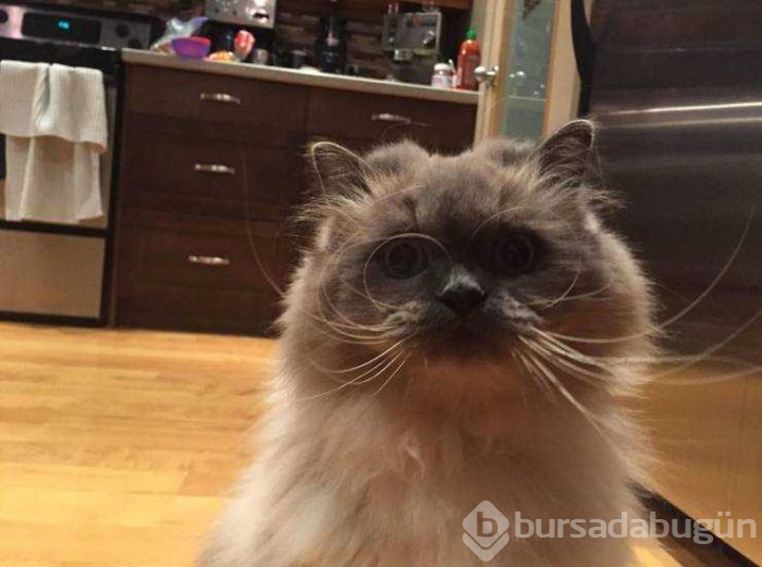 Günün en çok paylaşılan fotoğrafları (08.05.2019) 