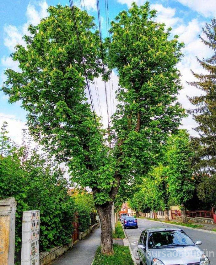 Günün en çok paylaşılan fotoğrafları (08.05.2019) 