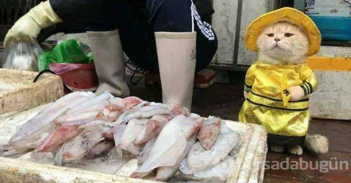 Günün en çok paylaşılan fotoğrafları (08.05.2019) 