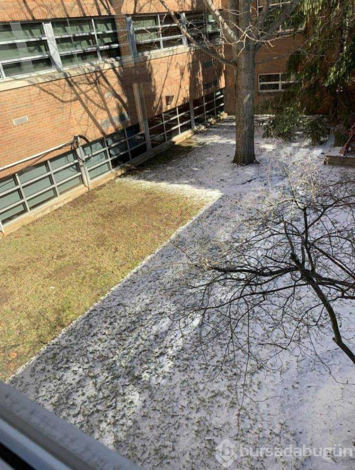 Günün en çok paylaşılan fotoğrafları (08.05.2019) 