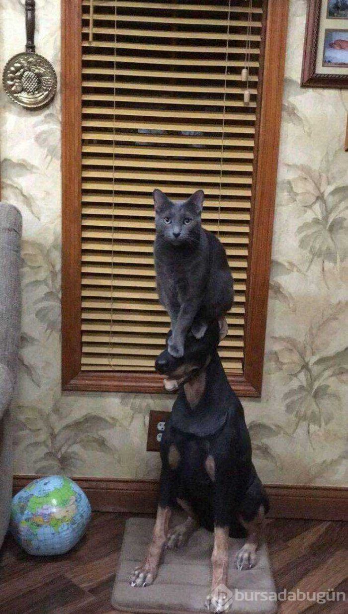 Günün en çok paylaşılan fotoğrafları (08.05.2019) 