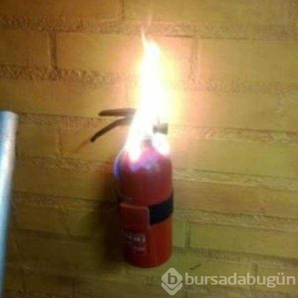 Günün en çok paylaşılan fotoğrafları (08.05.2019) 