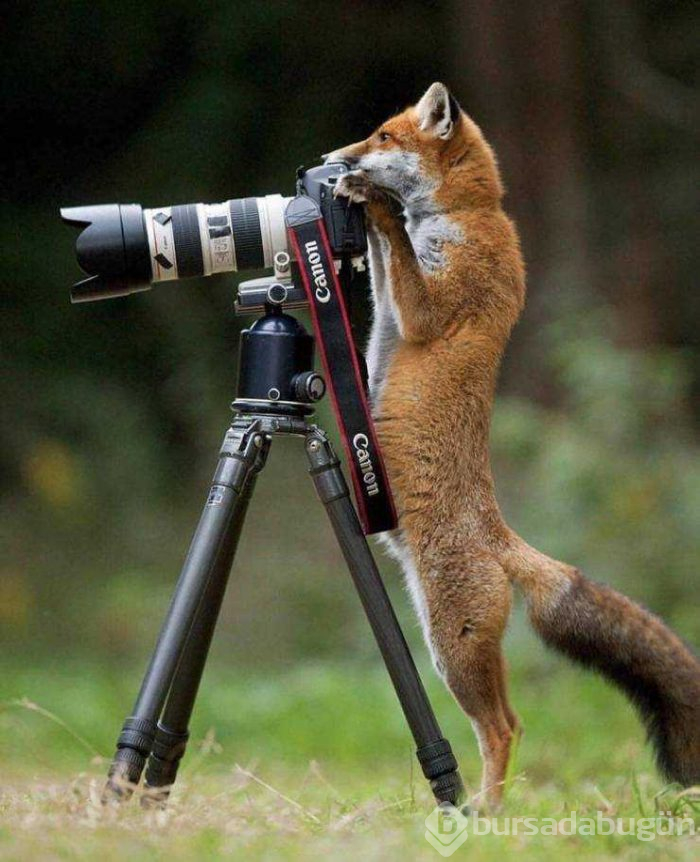 Günün en çok paylaşılan fotoğrafları (08.05.2019) 
