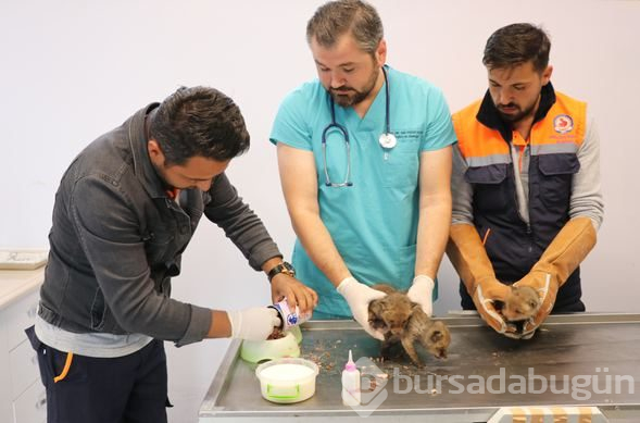 Bir evin bodrum katında bulundular...
