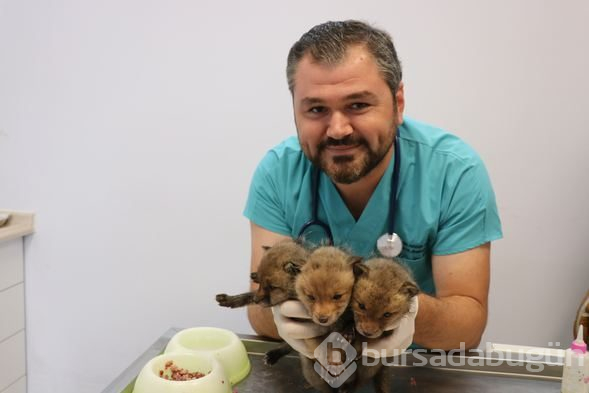 Bir evin bodrum katında bulundular...
