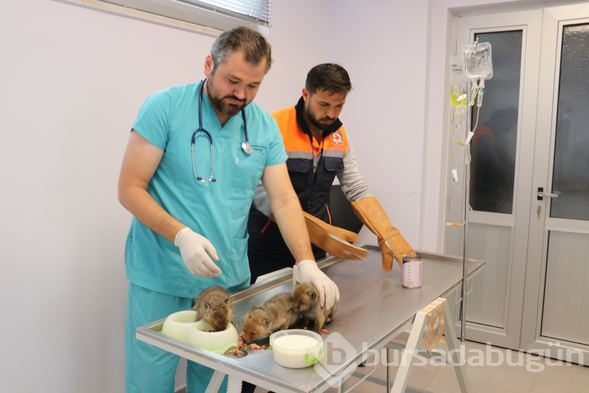 Bir evin bodrum katında bulundular...

