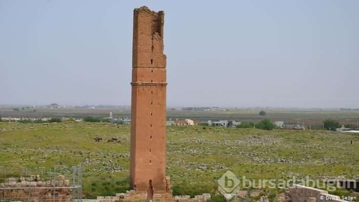 Türkiye'nin doğudaki kültür ve sanat hazineleri