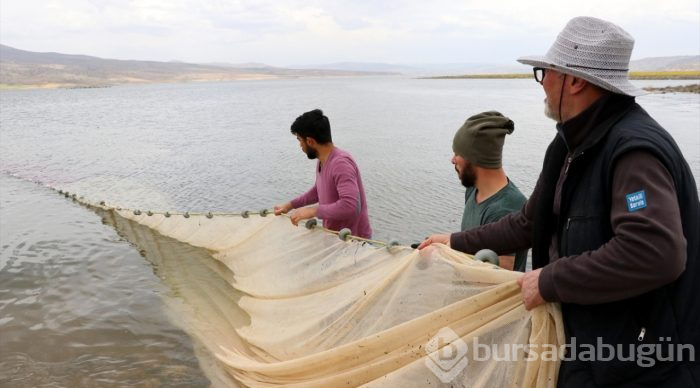 Kayseri'nin gümüş balığı Avrupa'da sofraları süslüyor
