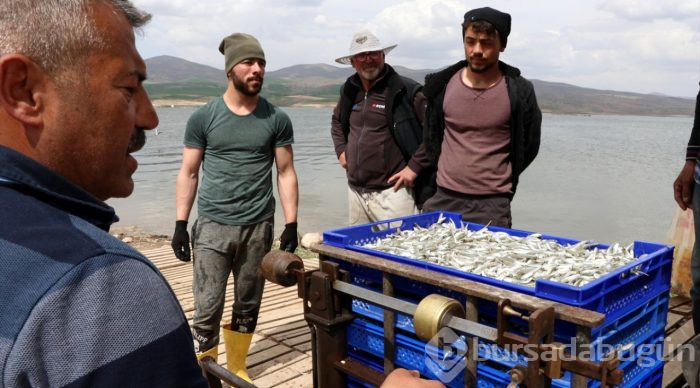 Kayseri'nin gümüş balığı Avrupa'da sofraları süslüyor
