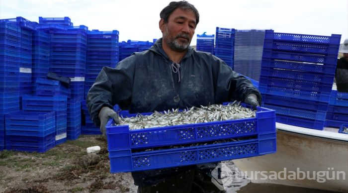 Kayseri'nin gümüş balığı Avrupa'da sofraları süslüyor
