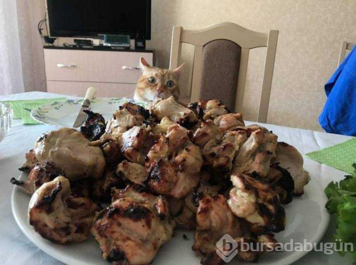 Günün en çok paylaşılan fotoğrafları (09.05.2019)