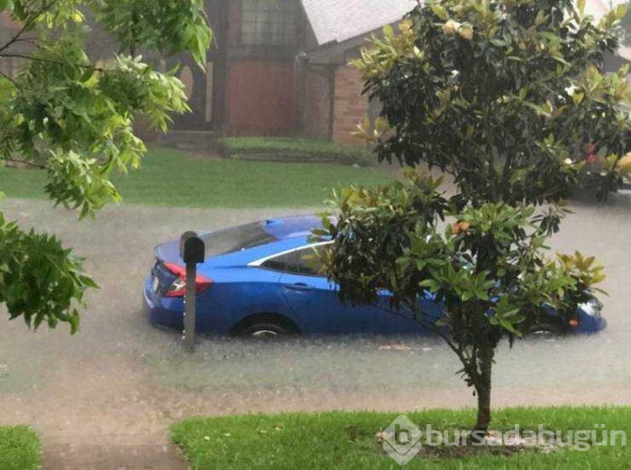 Günün en çok paylaşılan fotoğrafları (09.05.2019)