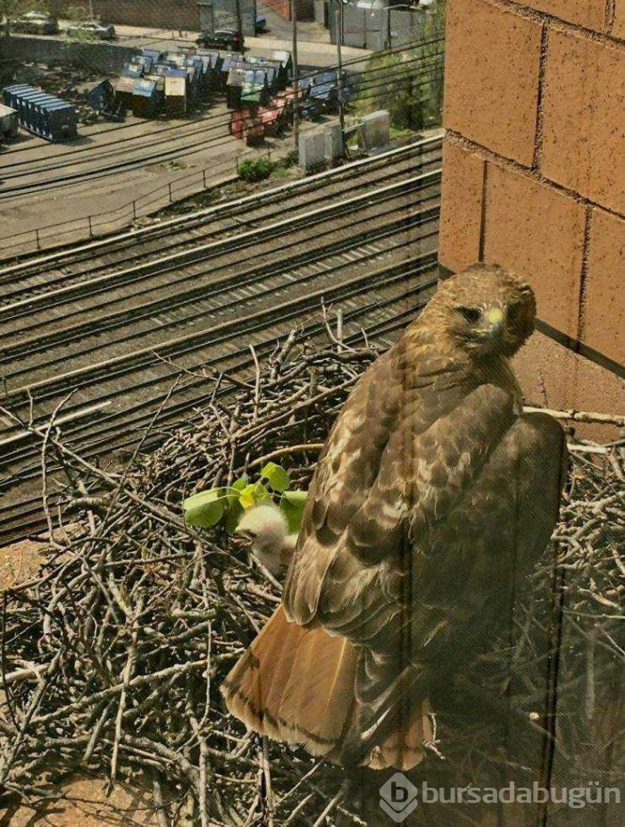 Günün en çok paylaşılan fotoğrafları (09.05.2019)