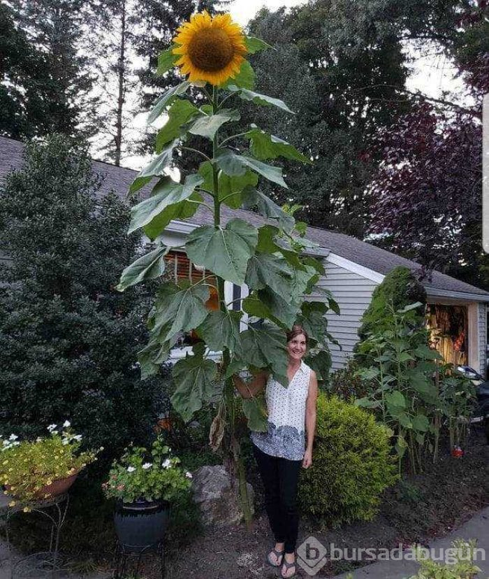 Günün en çok paylaşılan fotoğrafları (09.05.2019)