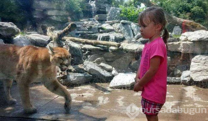 Günün en çok paylaşılan fotoğrafları (09.05.2019)