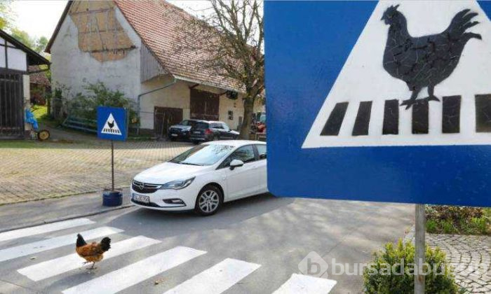 Günün en çok paylaşılan fotoğrafları (09.05.2019)