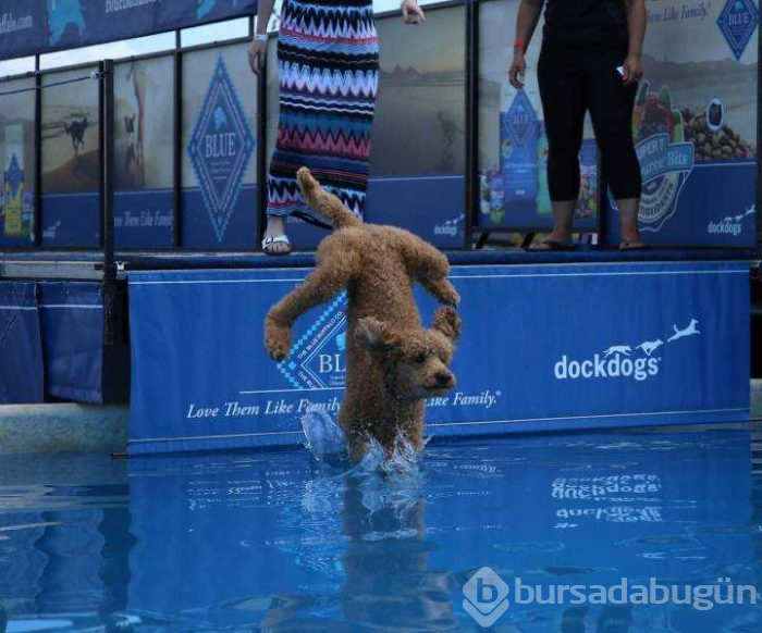 Günün en çok paylaşılan fotoğrafları (09.05.2019)