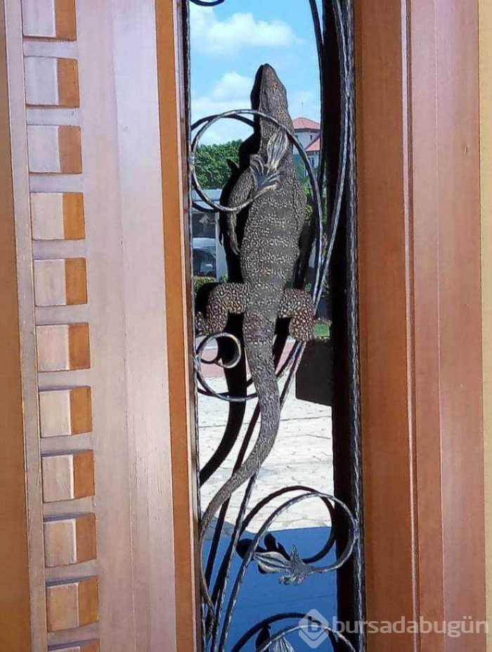 Günün en çok paylaşılan fotoğrafları (09.05.2019)
