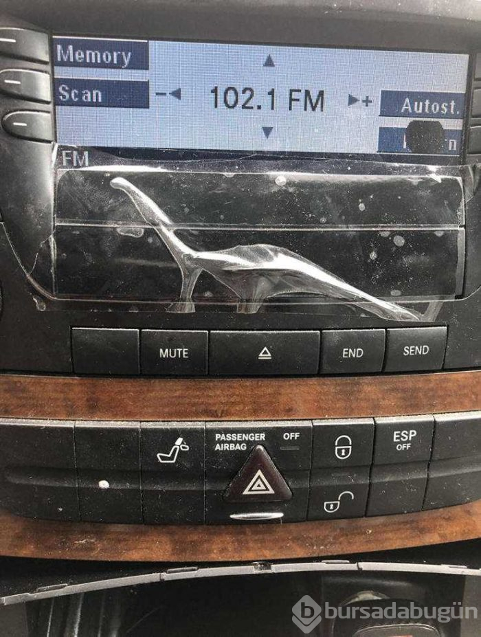 Günün en çok paylaşılan fotoğrafları (09.05.2019)