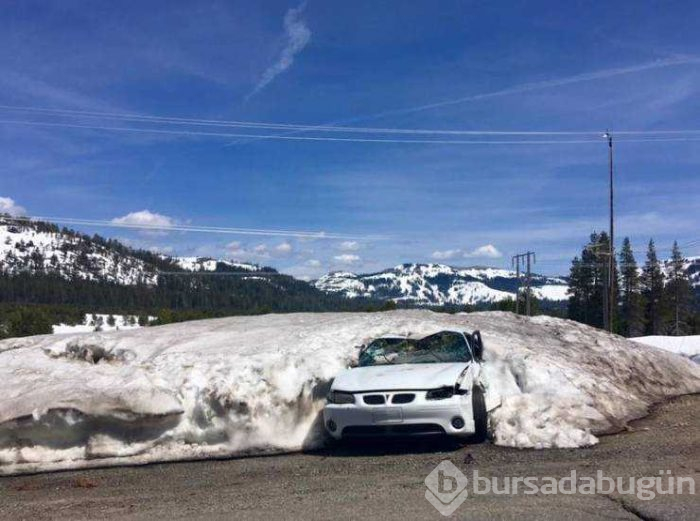 Günün en çok paylaşılan fotoğrafları (09.05.2019)