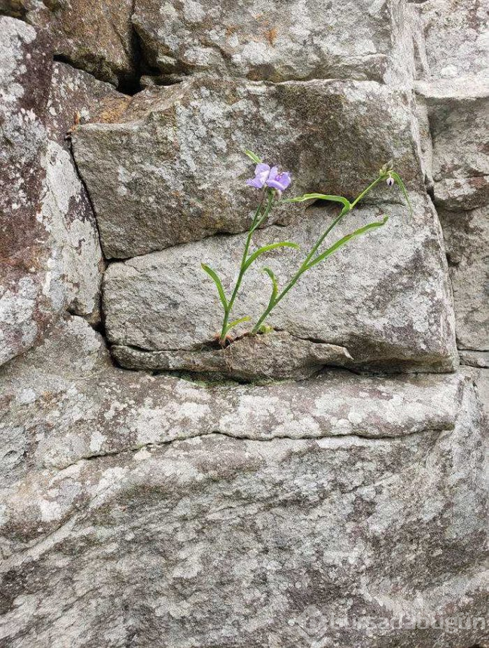 Günün en çok paylaşılan fotoğrafları (09.05.2019)