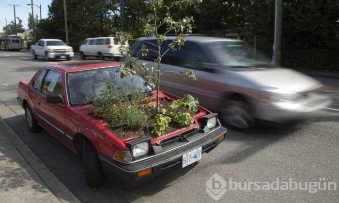 Günün en çok paylaşılan fotoğrafları (09.05.2019)