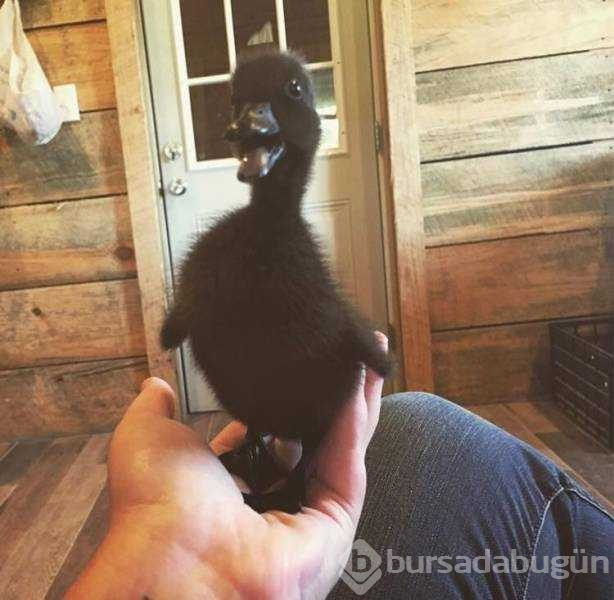 Günün en çok paylaşılan fotoğrafları (09.05.2019)