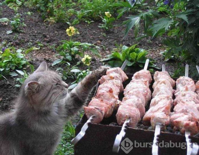Günün en çok paylaşılan fotoğrafları (09.05.2019)