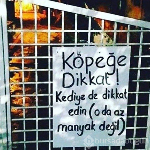 Yurdum insanından güldüren kareler!
