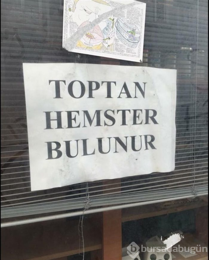 Yurdum insanından güldüren kareler!
