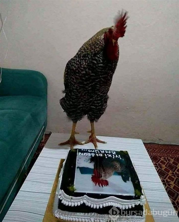 Yurdum insanından güldüren kareler!
