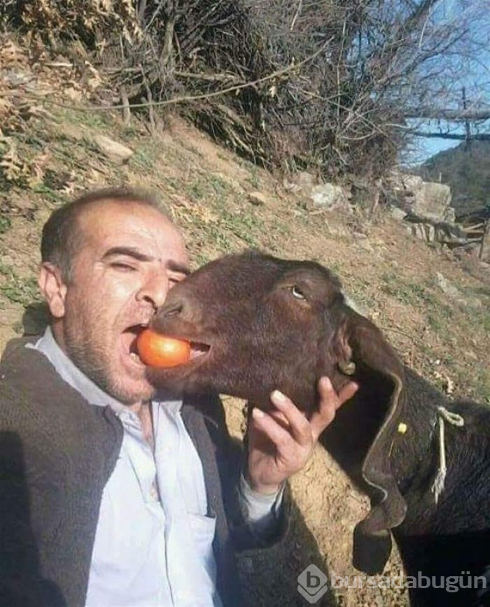 Yurdum insanından güldüren kareler!
