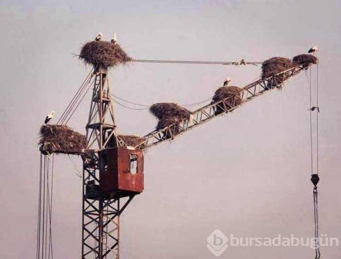 Günün en çok paylaşılan fotoğrafları (10.05.2019)