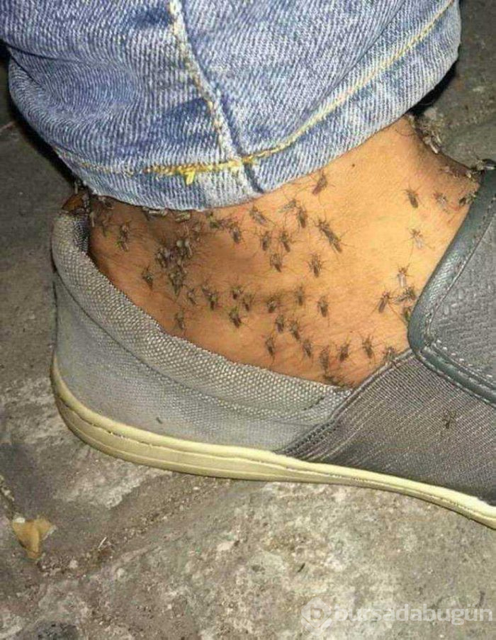 Günün en çok paylaşılan fotoğrafları (10.05.2019)