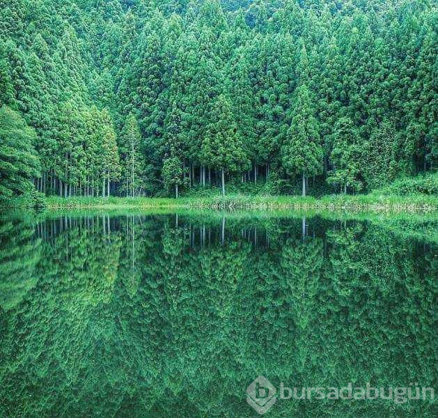 Günün en çok paylaşılan fotoğrafları (10.05.2019)